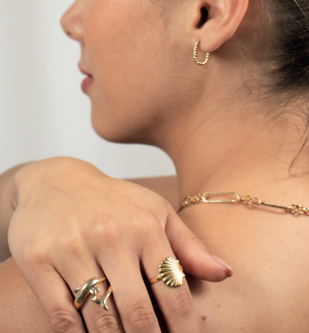 Anillo concha