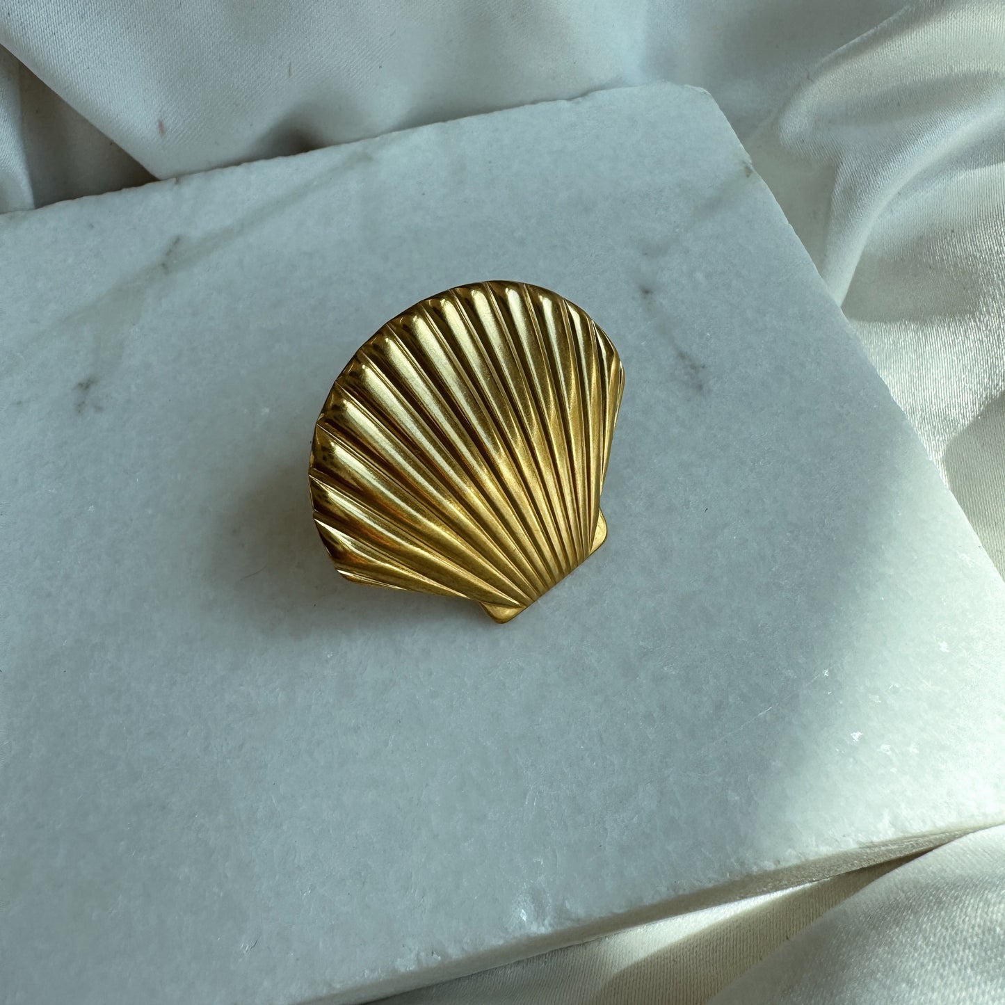 Anillo concha