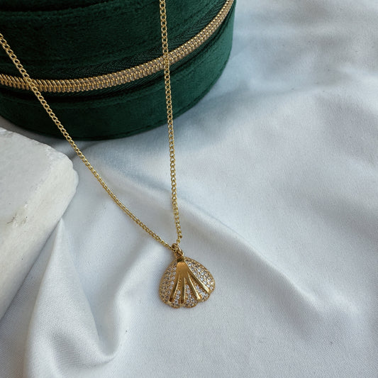 Collar concha circonia