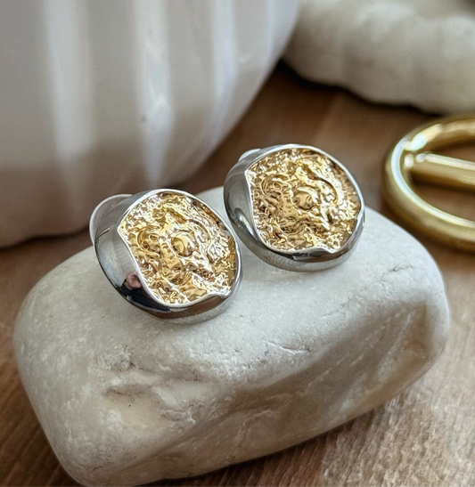 Aretes bicolor redondo