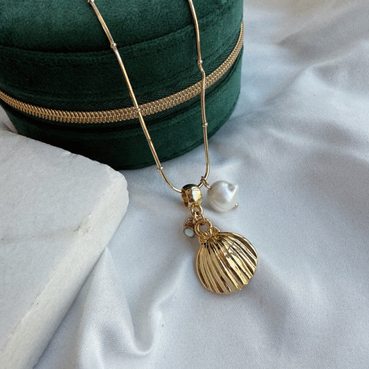 Collar concha y dijes