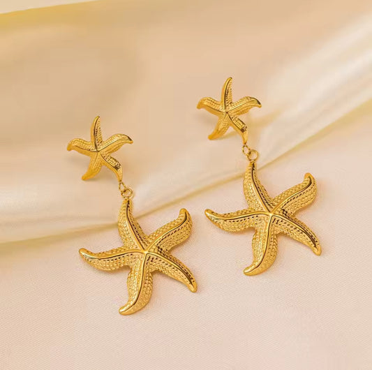 Arete doble estrella de mar