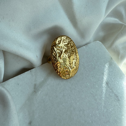 Anillo óvalo
