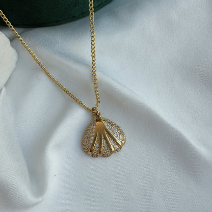Collar concha circonia
