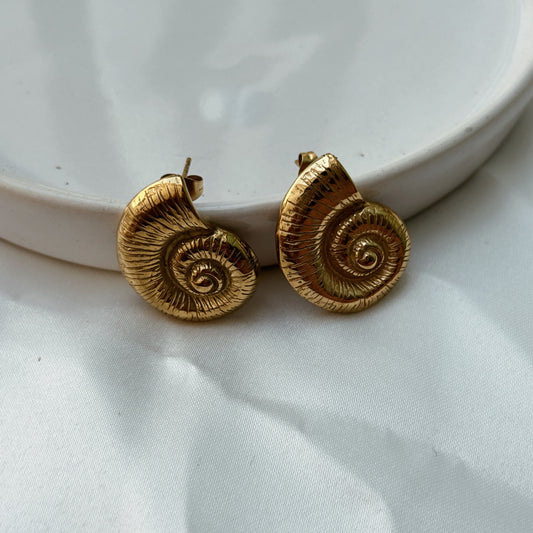 Arete caracol